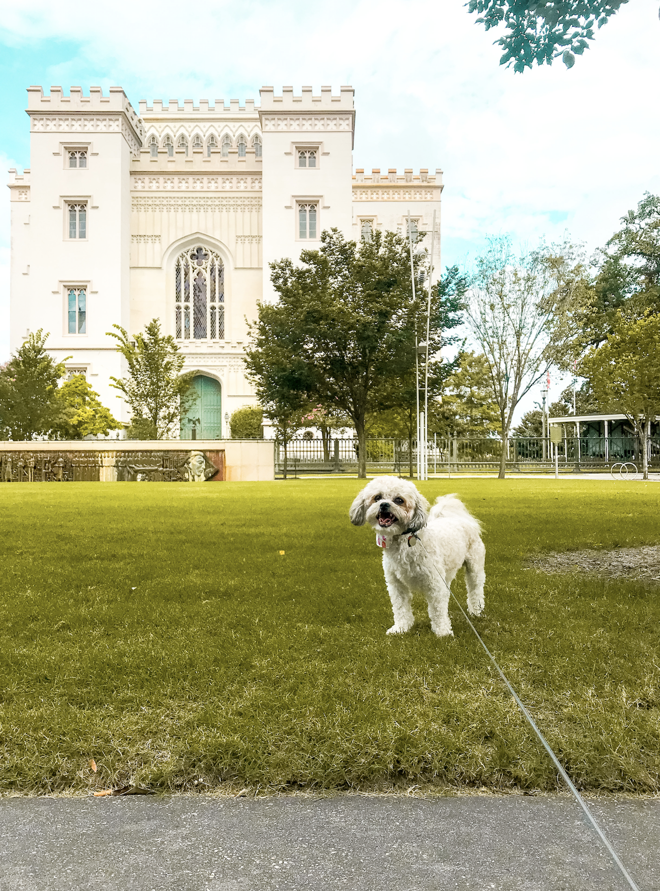 DOG FRIENDLY BATON ROUGE: SPEND A MORNING DOWNTOWN WITH US!