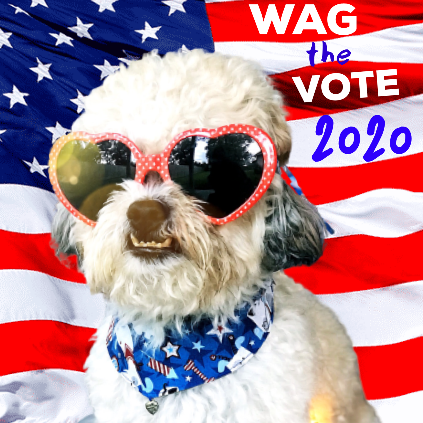WAG THE VOTE: HOW PUPS ARE USING THEIR INFLUENCE TO DRIVE THEIR HUMANS TO THE VOTING POLLS.