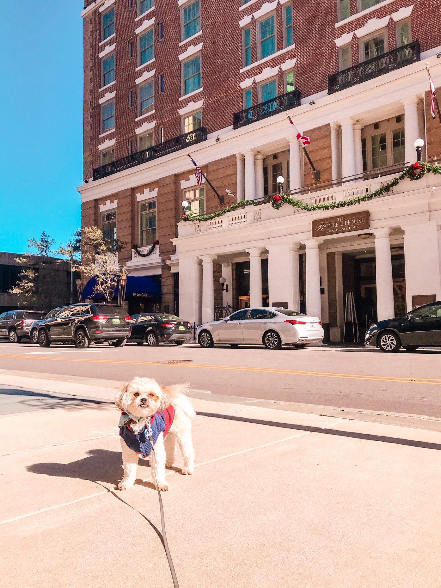 Dog Friendly Travel: The Battlehouse Hotel in Mobile, Alabama
