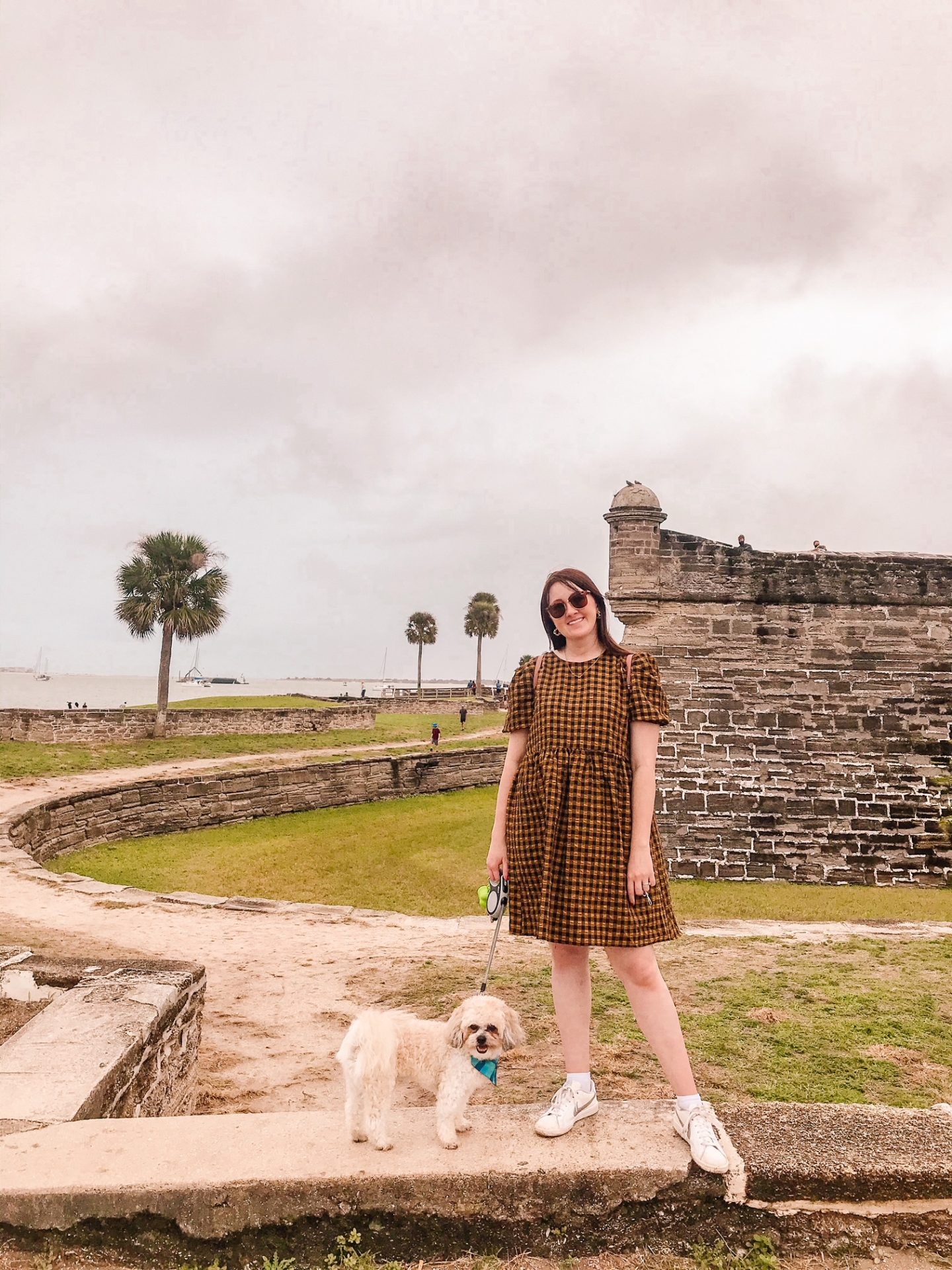 Come to the Beach With Us: Dog Friendly St. Augustine