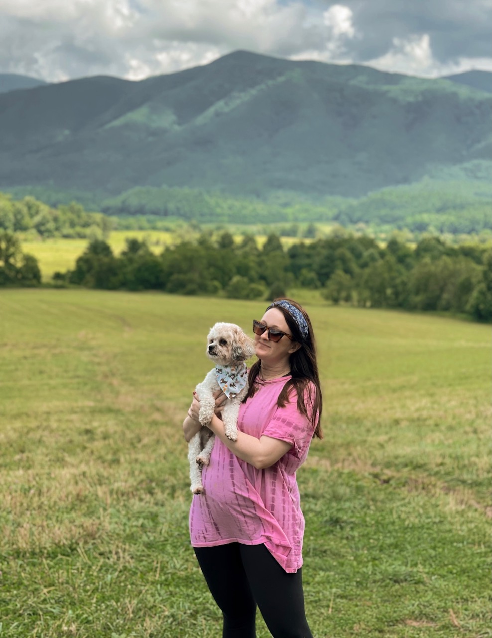 DOG FRIENDLY TENNESSEE: A TRIP TO TOWNSEND, TN