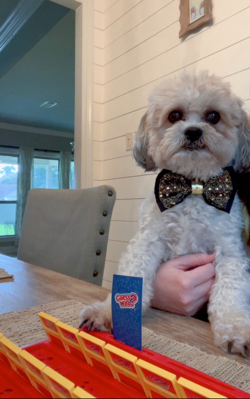 DIY Your Own Pet Themed Guess Who Game This Holiday Season
