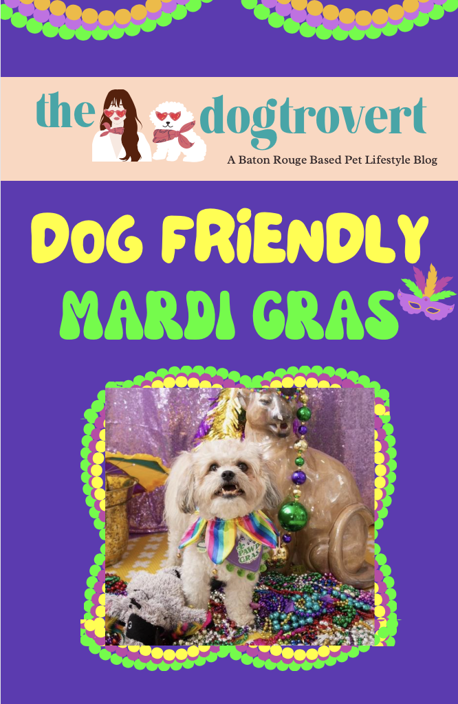 EIGHT MARDI GRAS PARADES ALONG THE GULF COAST FOR PETS THAT YOU DON’T WANT TO MISS