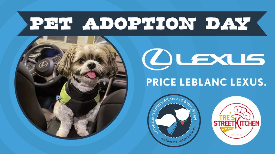 Adopt a Pet on June 10th at Price Leblanc Lexus and Companion Animal Alliance’s Pet Adoption Day