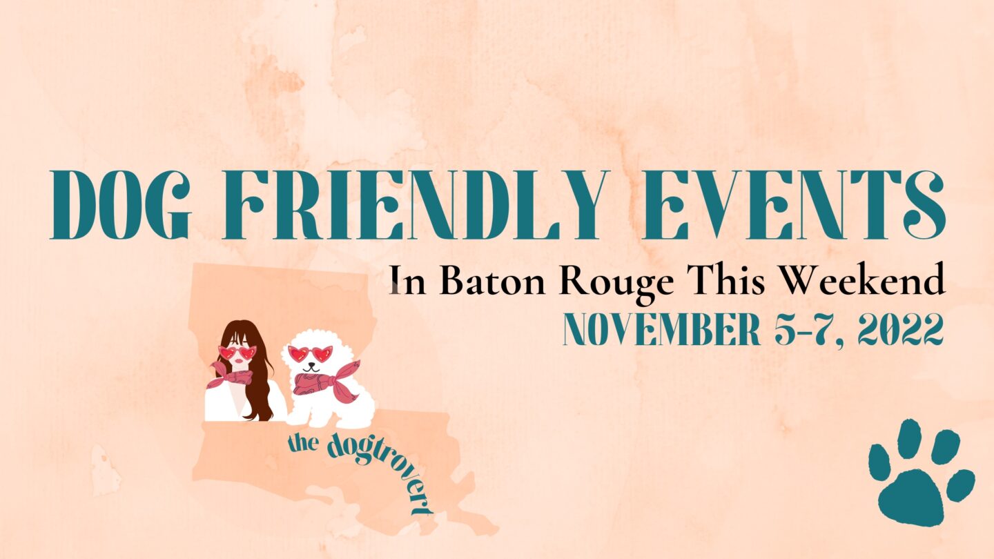Dog Friendly Baton Rouge: Cap City Beer Fest & Santa Pictures to Support Local Rescues This Weekend November 5-7, 2022