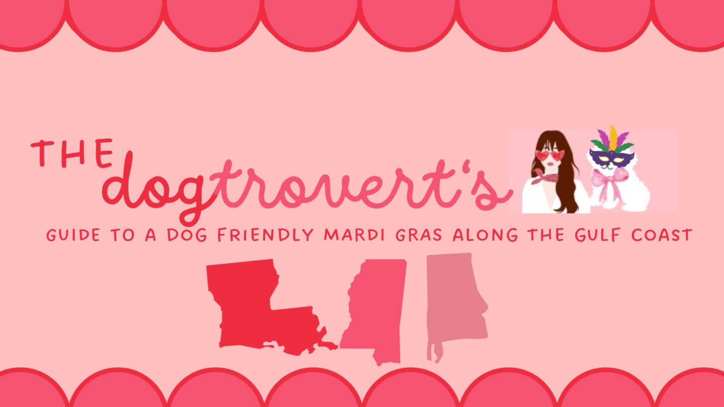 9 DOG FRIENDLY MARDI GRAS PARADES ALONG THE GULF COAST THAT YOU DON’T WANT TO MISS!